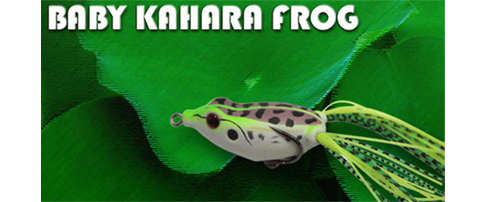 The-Kahara-Frog-with-Bill-Lowen