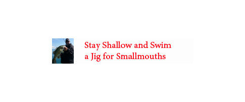 Stay-Shallow-and-Swim-a-Jig-for-Smallmouths