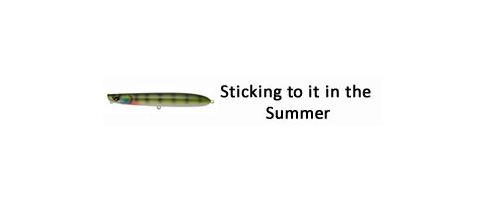 Sticking-to-it-in-the-Summer