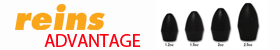 ReinsAdvantage
