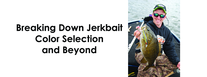 Breaking Down Jerkbait Color Selection and Beyond