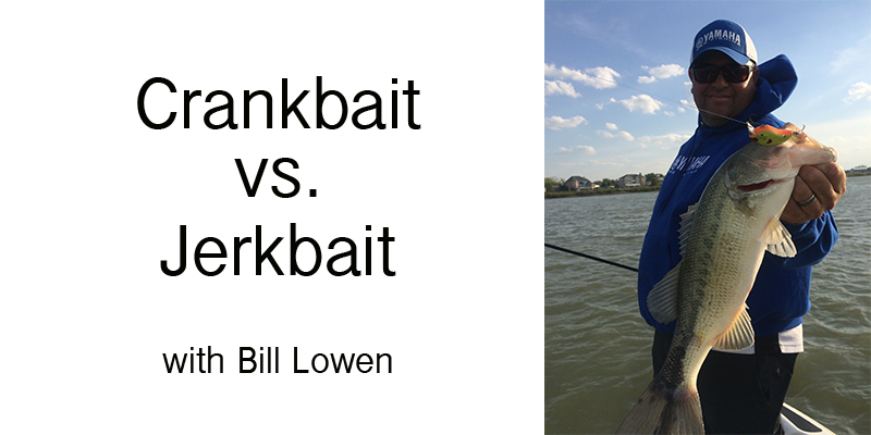 Crankbait vs. Jerkbait with Bill Lowen