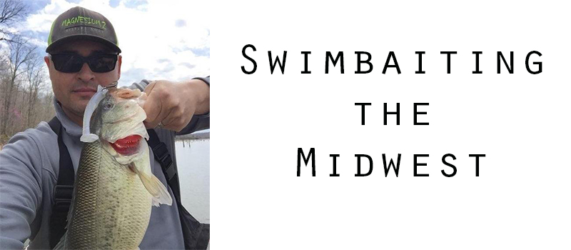 Swimbaiting the Midwest