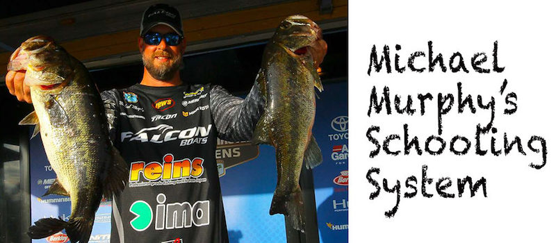 Michael Murphy’s Schooling System