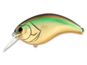 #06 Golden Shiner