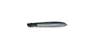 #198 - Shimmer Shad