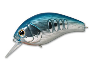 #40 Blue Shad