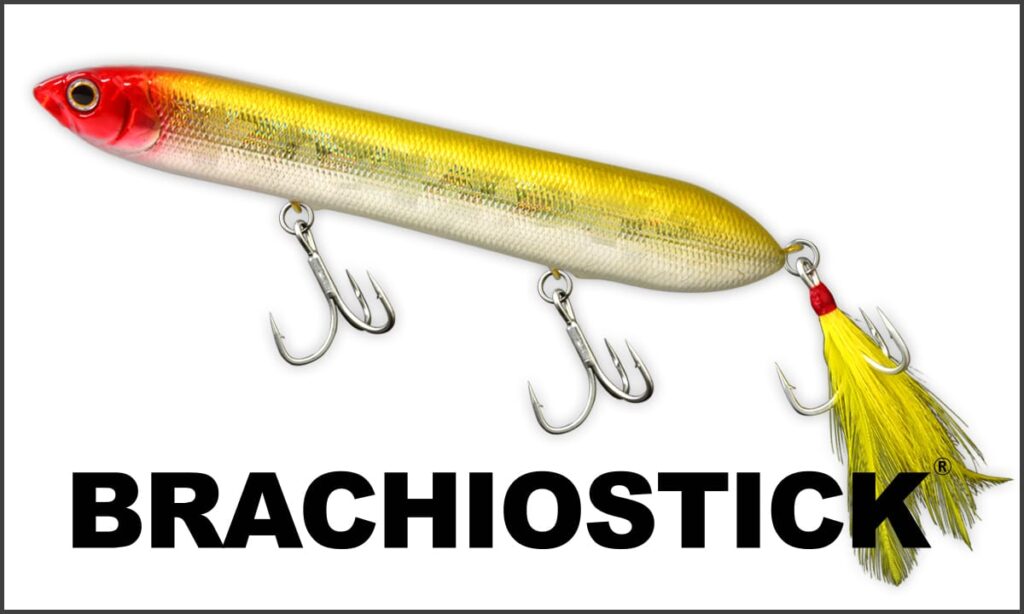 Brachiostick-1024x614