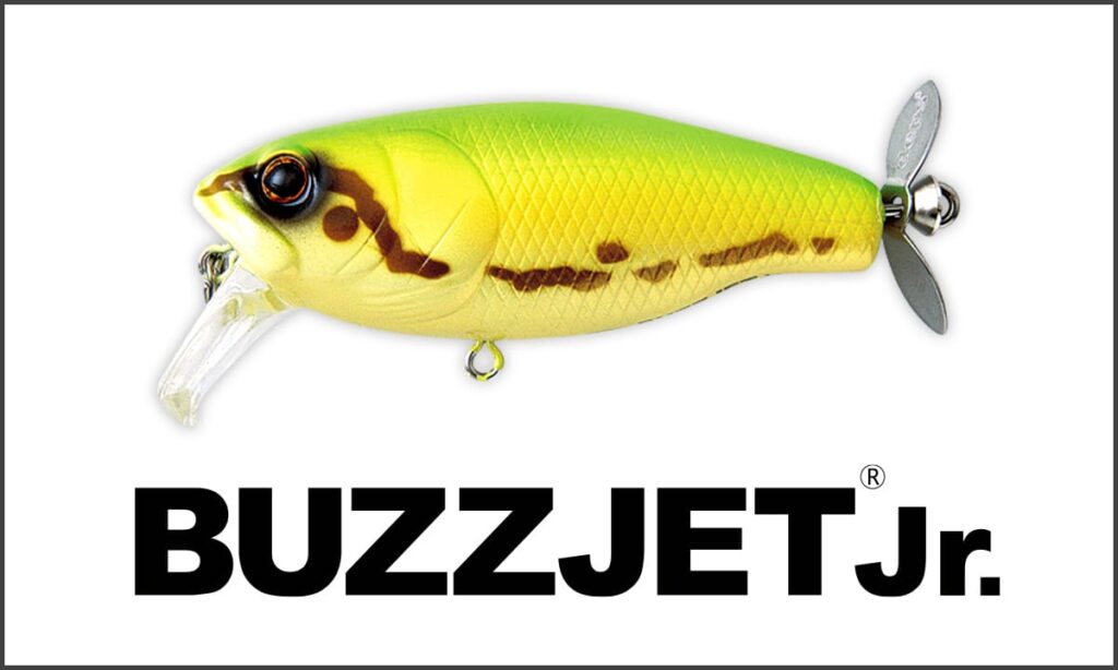 BuzzjetJr-1024x614c