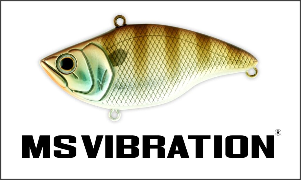MSVibration-1024x614