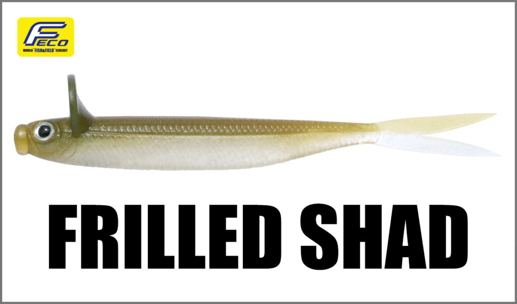 frilled-shad-1024x603