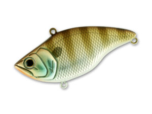 #03 Bluegill