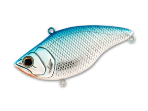 #13 Blue Shad