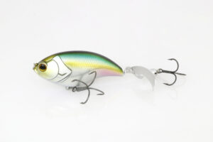 #02 Blue Back Herring