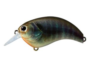 #10 Real Blue Gill