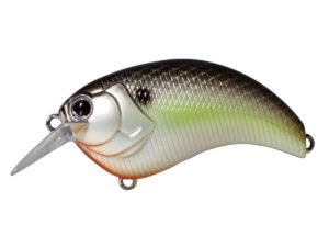 #18 Black Back Shad