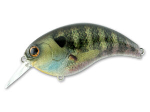 #01 Real Blue Gill