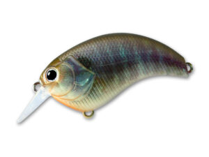 #10 Real Blue Gill