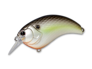 #18 Black Back Shad