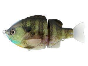 #01 Real Bluegill