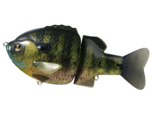 #01 Real Blue Gill