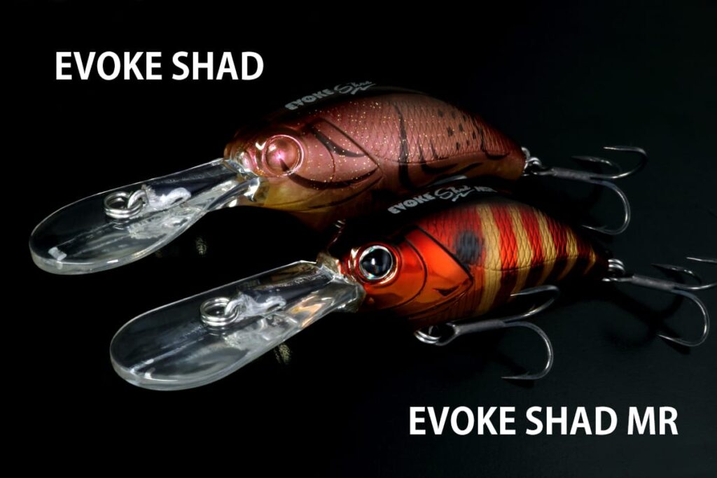 evoke_Shad_TYPE
