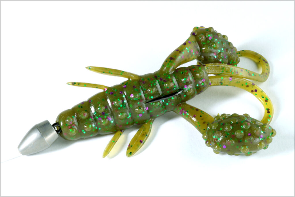 deps-beckon craw-CURLY ANTENNA & LEG