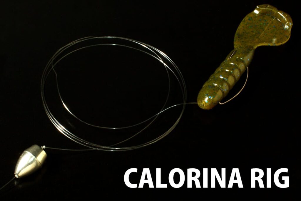 deps-lilrabbit-carolina-rig