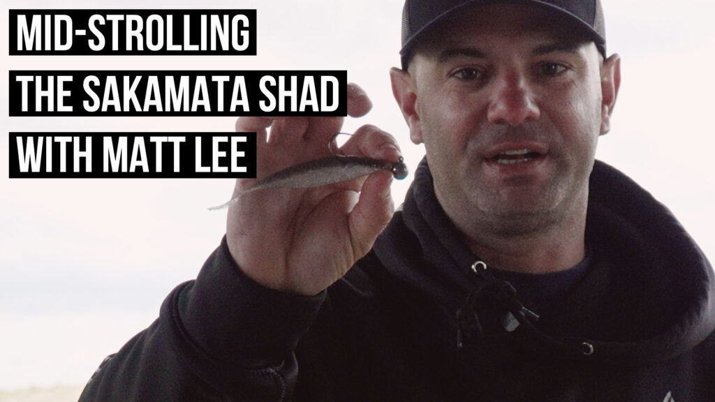 Mid-Strolling-the-Sakamata-Shad-with-Matt-Lee