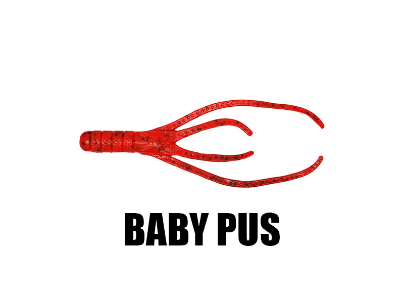 babypusbr