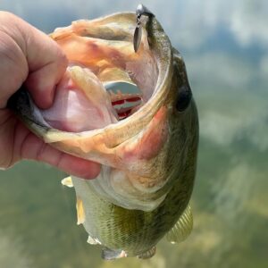 indy.fishing-deps_sakamatashad3