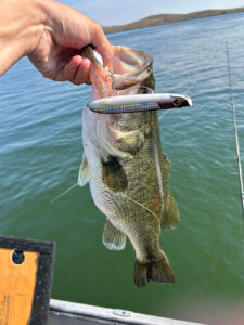 #100_socal_bendo_ima_littlestik