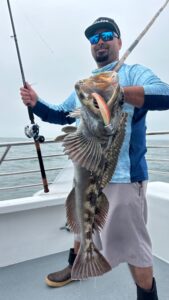 From California.Dawn_bubbashad_aa_08062024