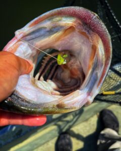 Horchata.gracias_slitherK_deps0916#107