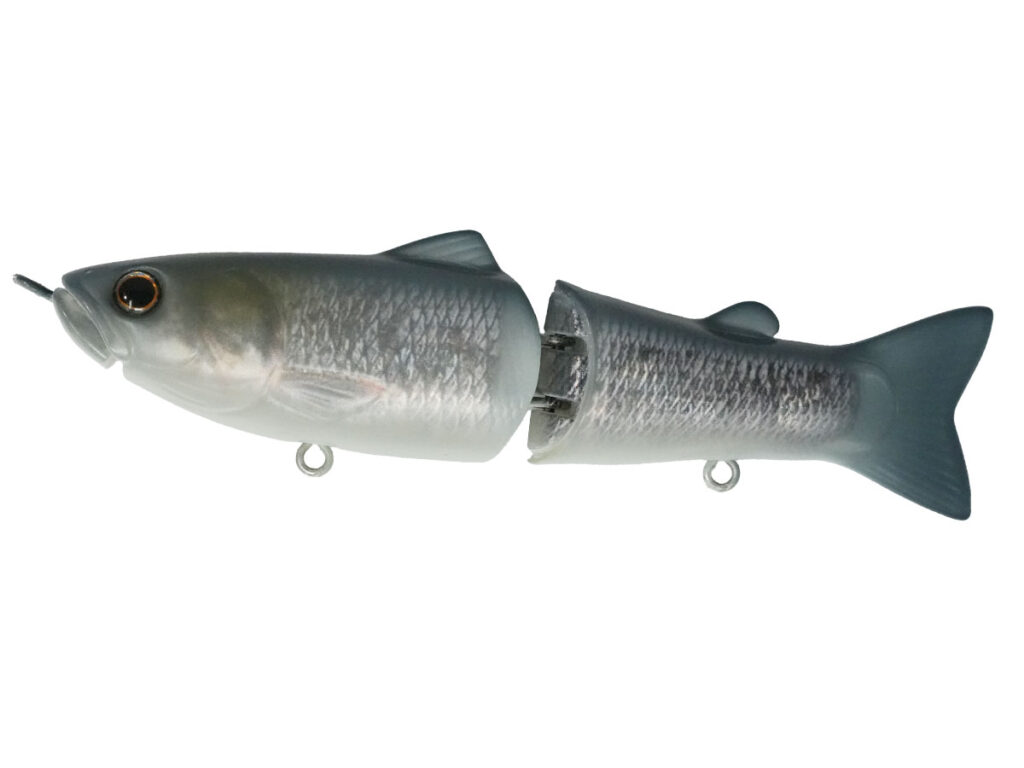SS115_18 Butch-Brown-Gizzard-Shad