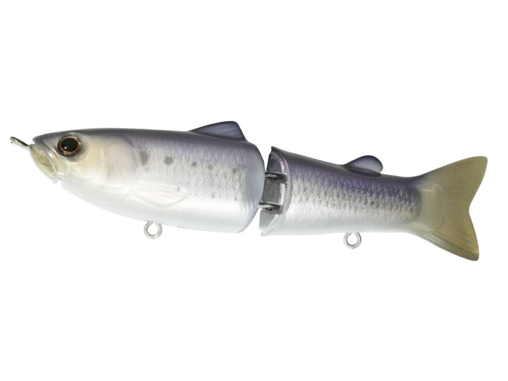 SS115_38 BB-American-Shad