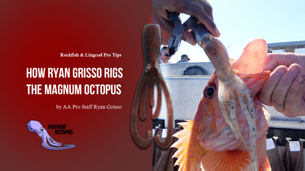AA_Magnum_Octopus_Rockfish_Lingcods_slide