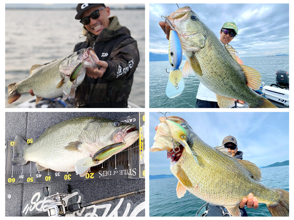 deps_fish_photos_kirrugan_break800
