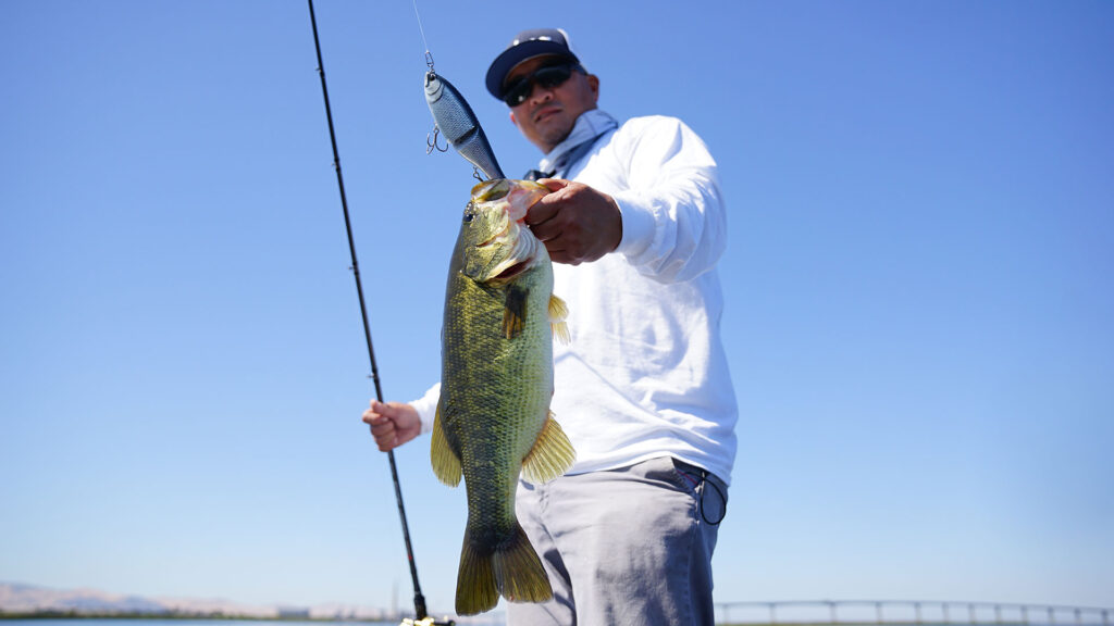 glidway176_gameover_ray